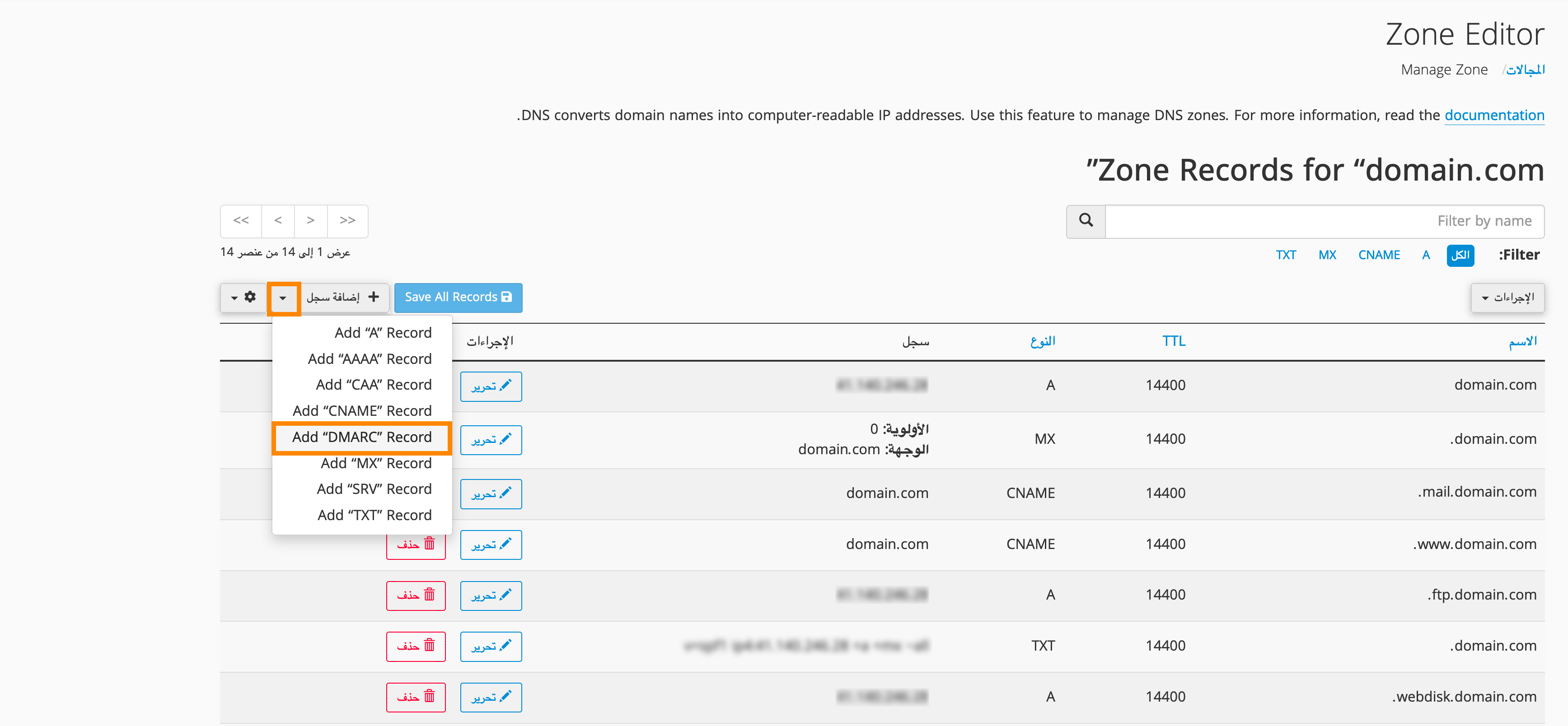 add_dmarc_cpanel_ar.png