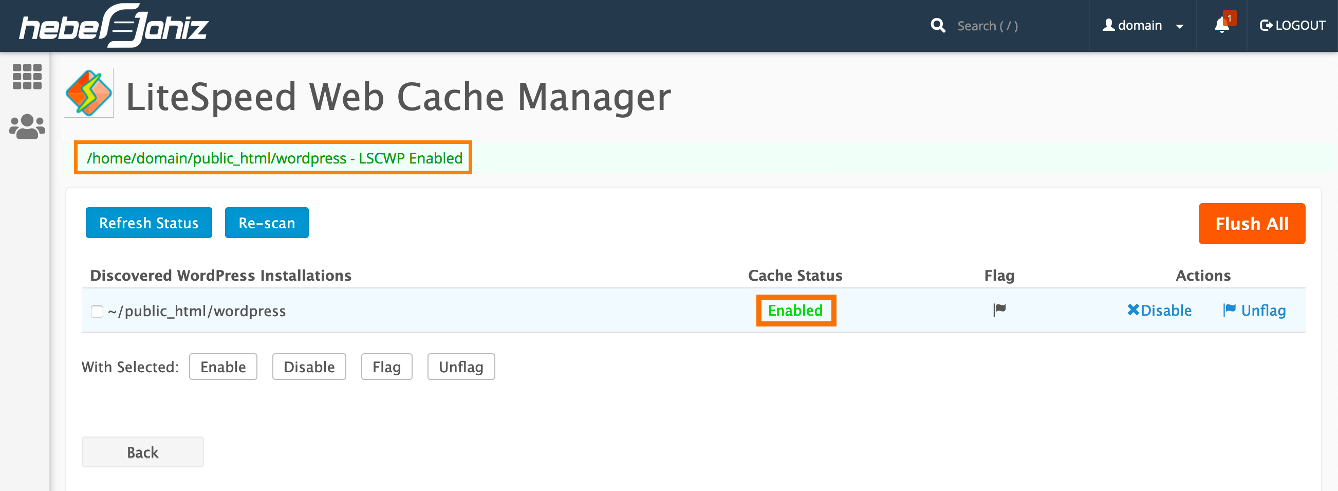 litespeed web server with cpanel