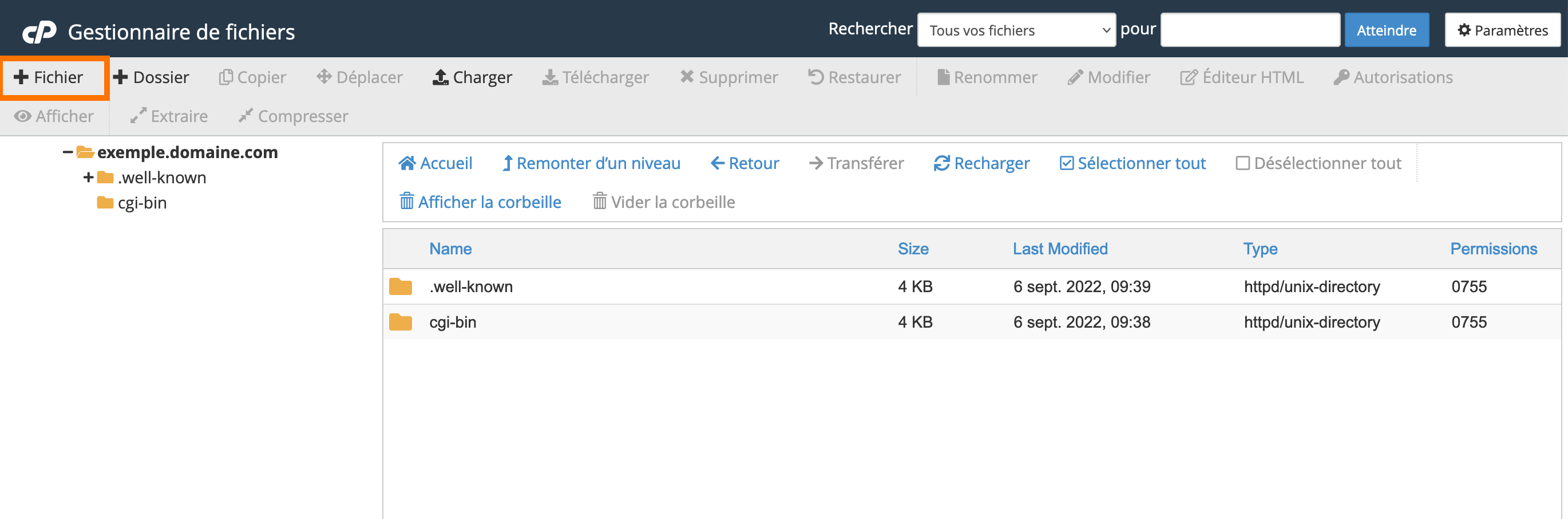 cpanel-gestionnaire-ajout-fichier.png